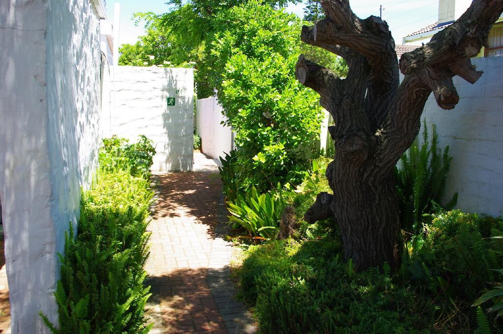 פורט אליזבת' Aqua Marine Guest House מראה חיצוני תמונה