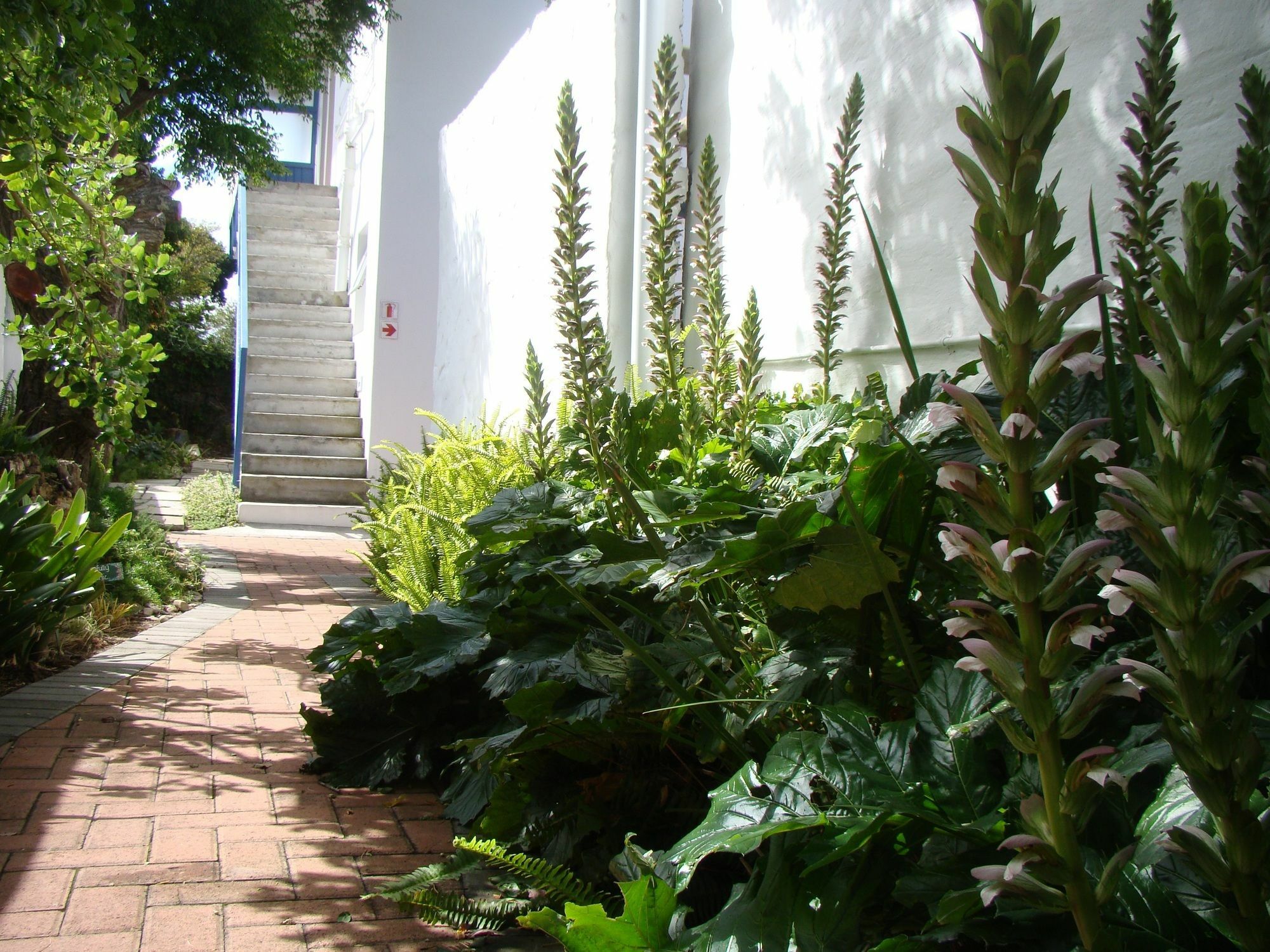 פורט אליזבת' Aqua Marine Guest House מראה חיצוני תמונה